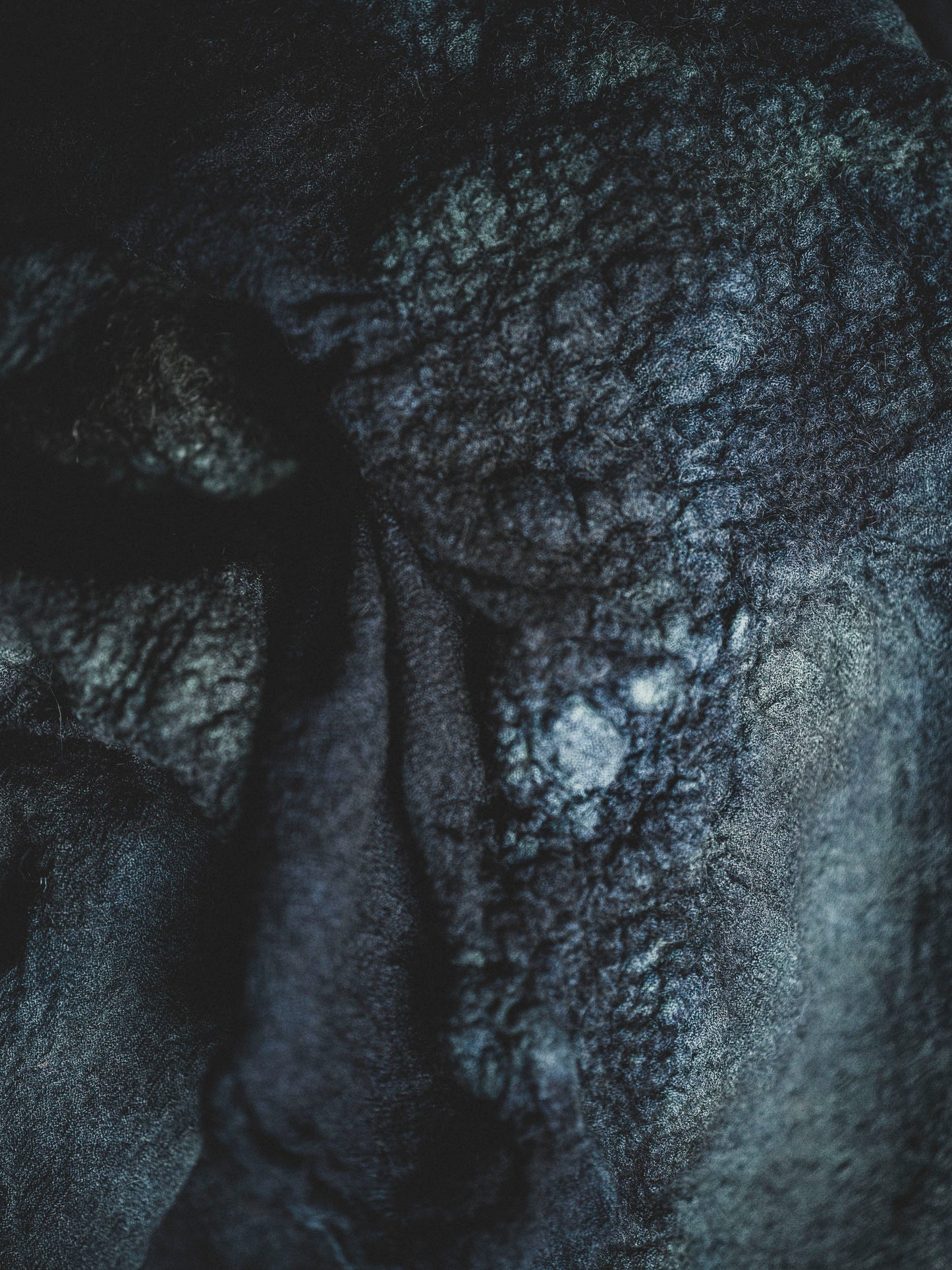 FELTED - NIGHT