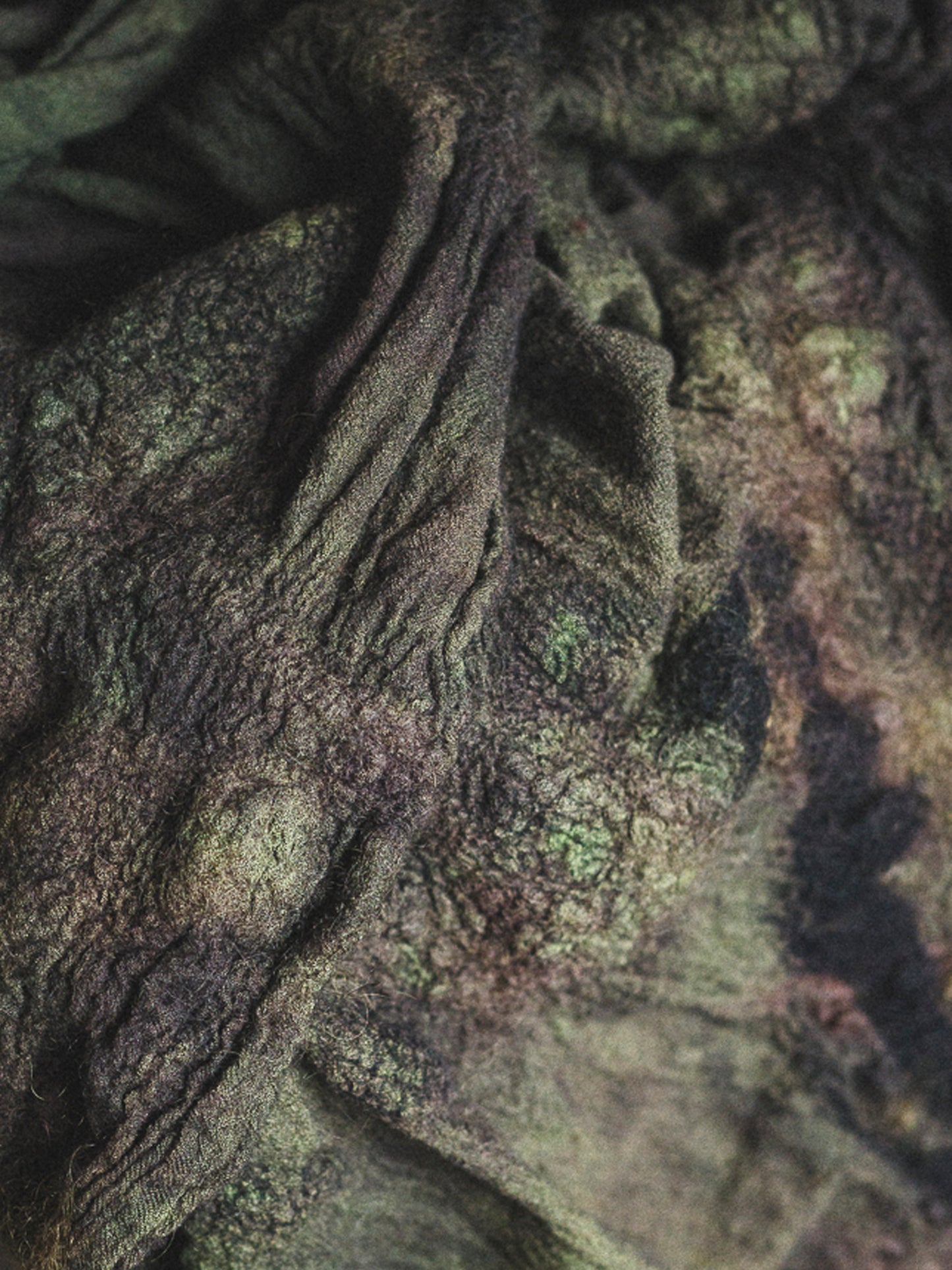 FELTED - FOREST