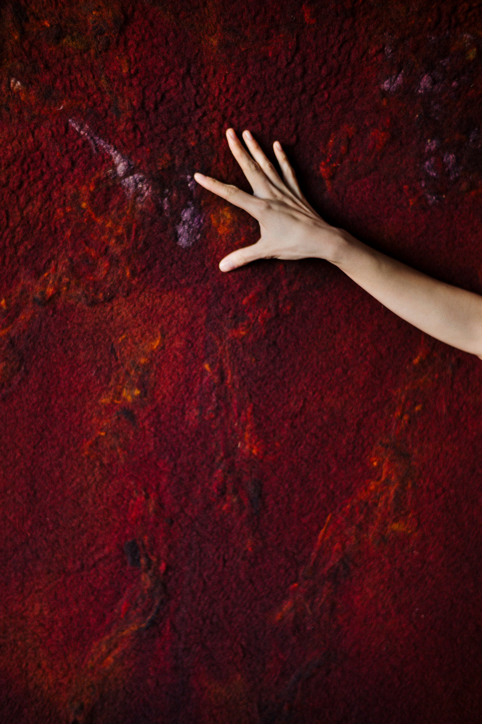 interior – Biek Verstappen