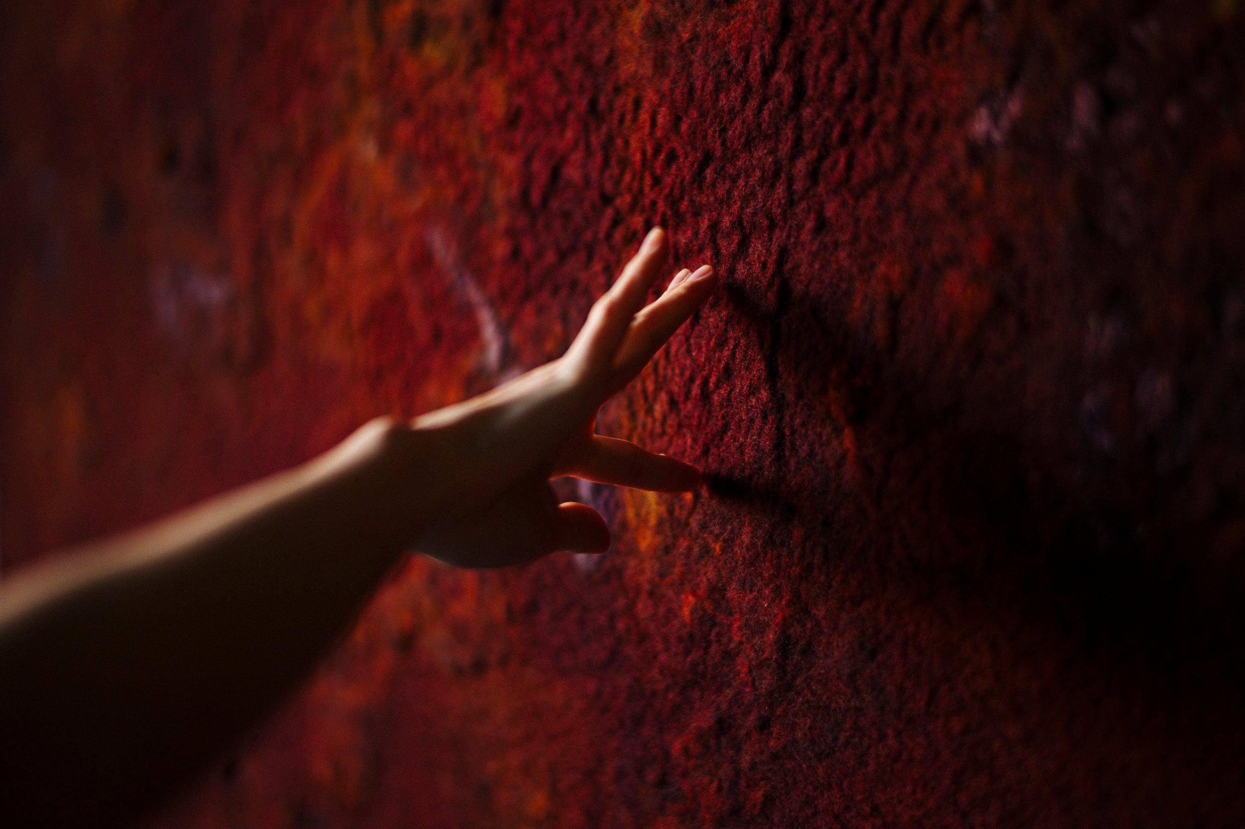 interior – Biek Verstappen