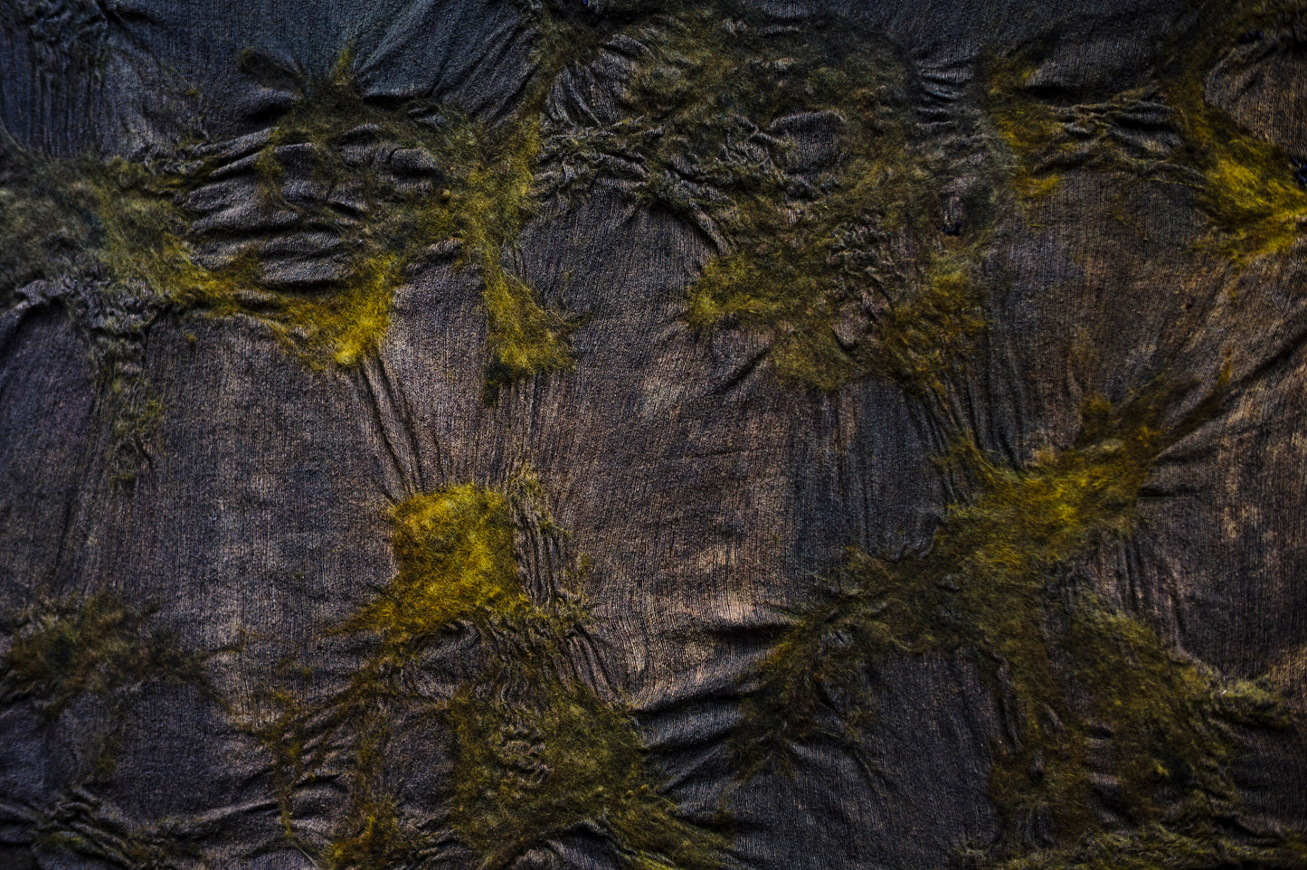 LANDSCAPE 4 - SILK - 1/1